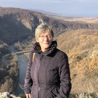 Margit N.