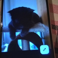 René R.