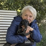 Fotó Gabriella galériájából