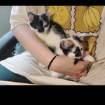 Photo from Lilian’s gallery