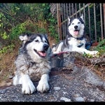 Photo from Lilian’s gallery