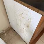 Photo from Erika’s gallery