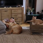 Photo from Máté’s gallery