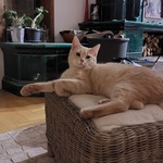 Photo from Máté’s gallery