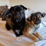 Fotó Nyiri galériájából