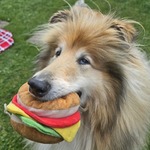 Fotó Nyiri galériájából