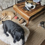 Fotó Nyiri galériájából