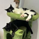 Fotó Eszter galériájából