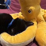 Fotó Eszter galériájából