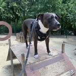 Fotó Lilla galériájából