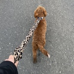 Fotó Lilla galériájából