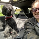 Fotó Lilla galériájából