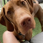 Fotó Gabriella galériájából