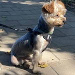 Fotó Gabriella galériájából