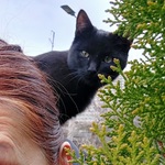 Photo from Ibolya’s gallery