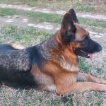 Photo from Ibolya’s gallery