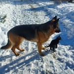 Photo from Ibolya’s gallery