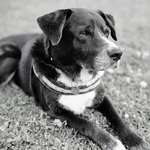 Photo from Ibolya’s gallery