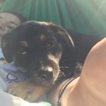 Photo from Ágota’s gallery