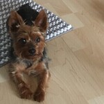 Fotó Gabriella galériájából