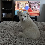 Photo from Bianka’s gallery