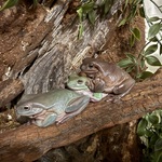 Photo from Bianka’s gallery