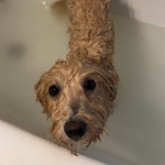 Photo from Bianka’s gallery