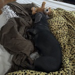 Photo from Bianka’s gallery