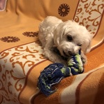 Fotó Bernadett galériájából