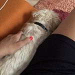 Fotó Bernadett galériájából