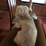 Fotó Bernadett galériájából