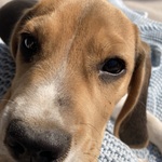 Fotó Gabriella galériájából