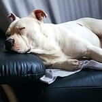 Fotó Mátyás galériájából