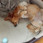 Fotó Mátyás galériájából