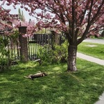 Fotó Panna galériájából