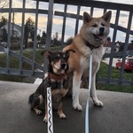 Fotó Panna galériájából