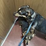 Fotó Panna galériájából