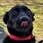 Photo from Emma’s gallery