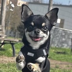 Photo from Emma’s gallery