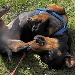 Photo from Emma’s gallery