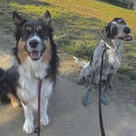 Photo from Emma’s gallery