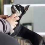 Photo from Emma’s gallery