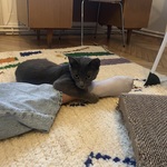 Photo from Chelsea’s gallery